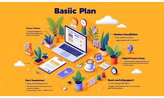 1. Basic Plan Website
