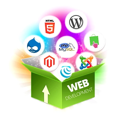 Website Design and Development service-3