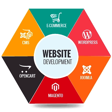 Website Design and Development service-2