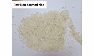 NON BASMATI RICE IR64 RAW