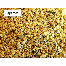 premium soya bean meal for livestock - high-protein cattle & fish feed