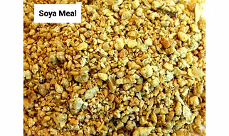 Premium Soya Bean Meal for Livestock - High-Protein Cattle & Fish Feed