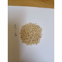 sesame seeds