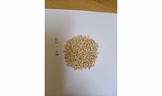 Sesame seeds