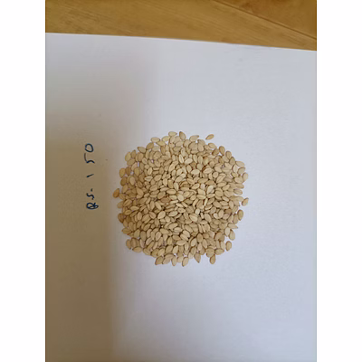 sesame seeds