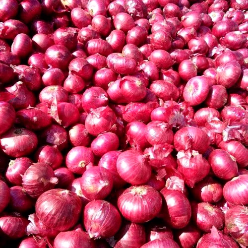 RED ONION image 1