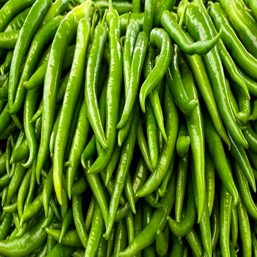 GREEN CHILLI image 1