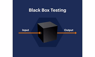 Black-Box Testing