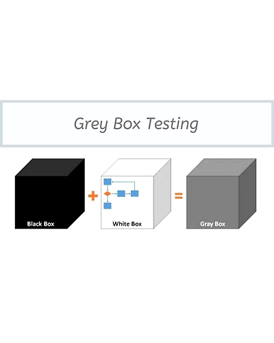 Grey-Box Testing-DigiAI09