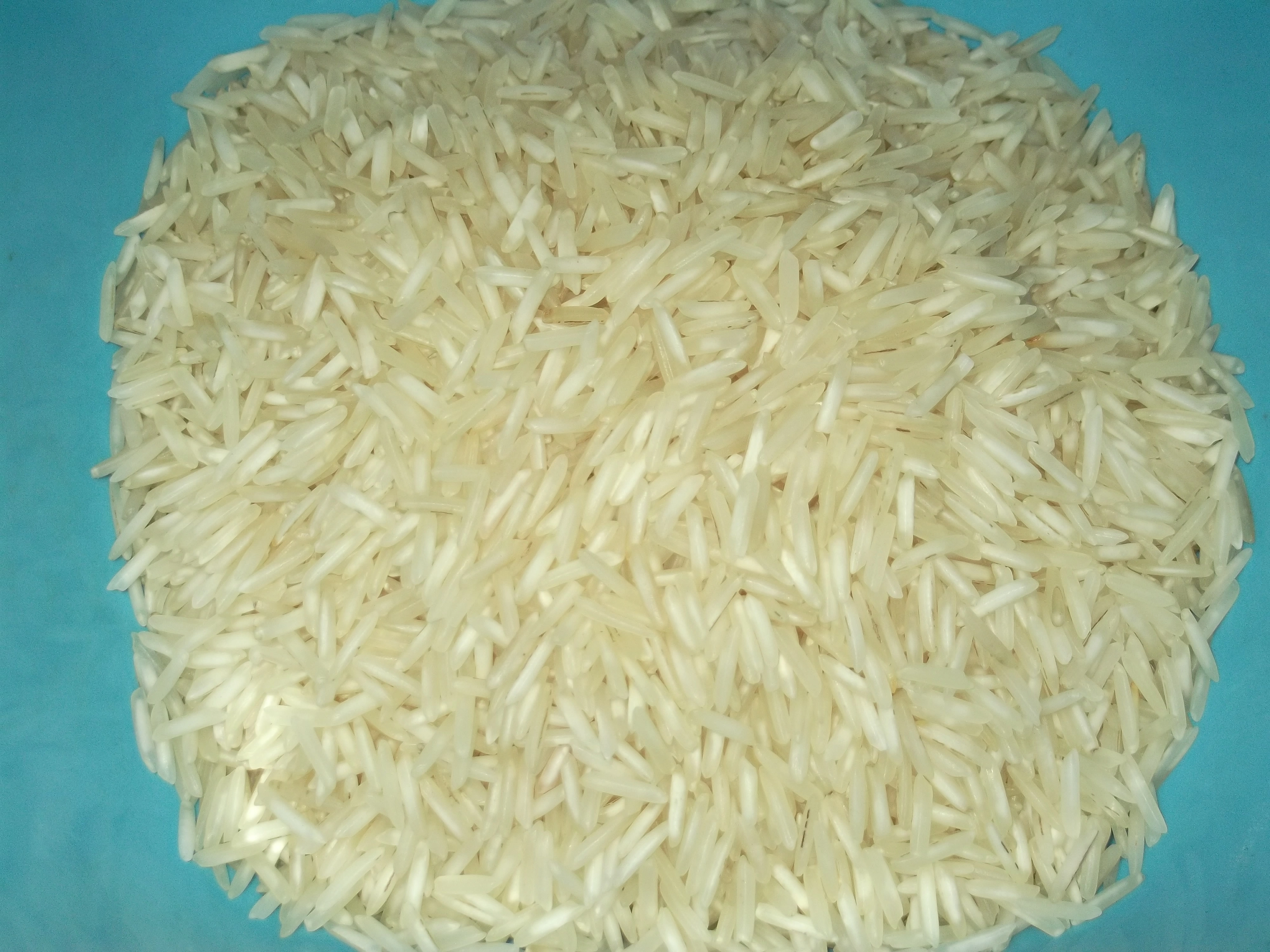 Basmati  and  Non- Basmati rice-10836258