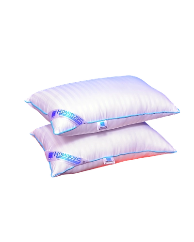 Premium Pillow set , Size: 17 x 27 inches (White ) Pack of 2 Pieces-HB_PP_172702
