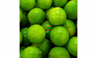 Export Quality Fresh Green Lemon – 2025 Crop | 10 kg Boxes