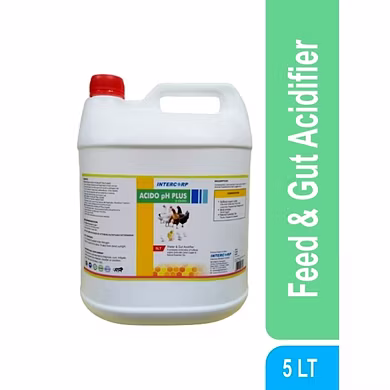 ACIDOPH PLUS  - Feed &amp; Gut Acidifier-11698912