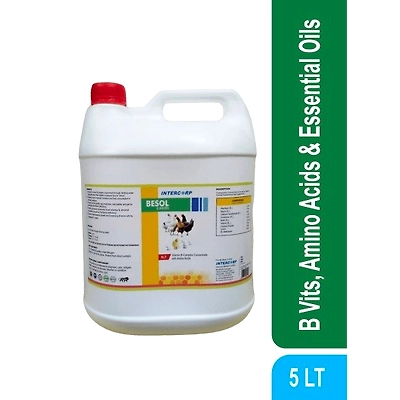 INTERCORP - ULTRAMIX BESOL - B Complex Concentrate With Amino Acids Essential Oils & Nutrients
