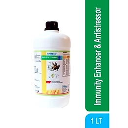 INTERCORP - ULTRAMIX IMOTECH (STRONG) - Immunity Enhancer Antistressor & Antioxidant