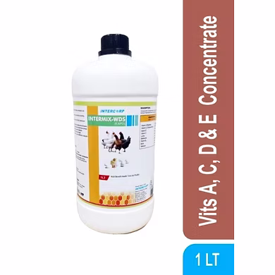 INTERMIX WDS (EXPO) - Concentrate of Vitamins A, C, D &amp; E with Antioxidants-11699004