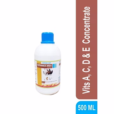 INTERMIX WDS (EXPO) - Concentrate of Vitamins A, C, D &amp; E with Antioxidants-3