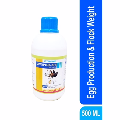 intercorp - ultramix levoplus-bh - enhanced egg production & flock weight