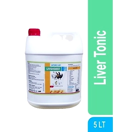 INTERCORP - ULTRAMIX LIVDIGEST - Liver Tonic