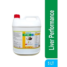 INTERCORP - ULTRAMIX LIVTOP - Liver Tonic for Protection & Performance