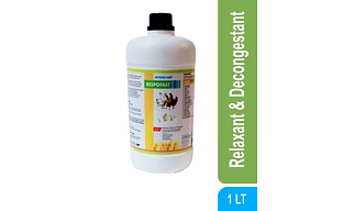 RESPOFAST - Respiratory Relaxant & Decongestant