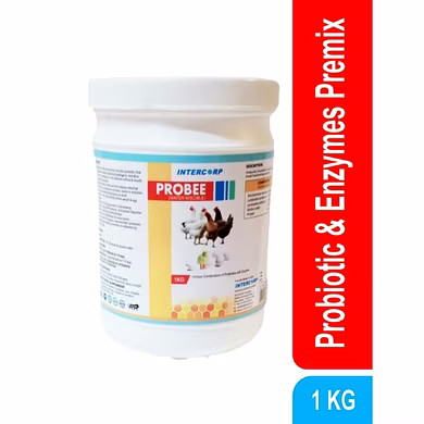 PROBEE (WATER MISCIBLE) - Probiotic Premix with Enzyme-11699060