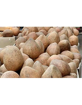 Ball Copra