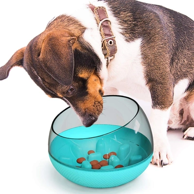 Emily Pets Interactive Slow Feeder Bowl Food Feeder Bow for Small Medium Dog and Cat
