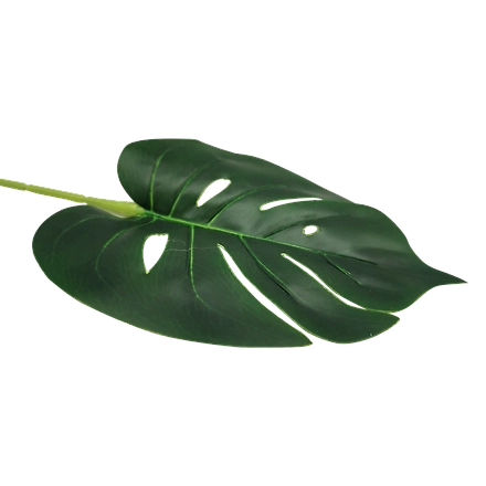Home Leaves Décor Green HS-11539509