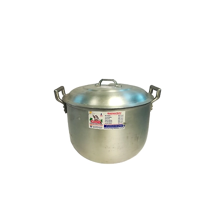Camel Boiler Casting 4-10528401