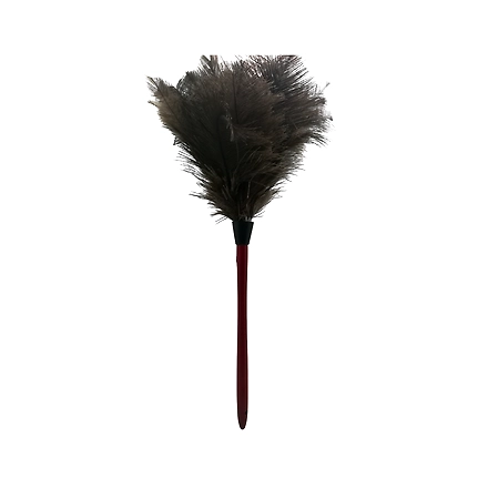 Feather Duster Small 0217-11221207
