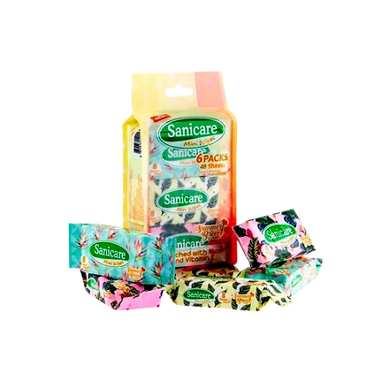 Sanicare Mini Wipes 6 Packs Summer Breeze Scent-11447793