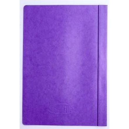 Starfile Report Cover Short Folder-11382746