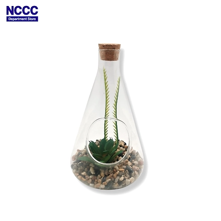 Koopman Plant in Glass 10x17cm 608635 HS-11652777