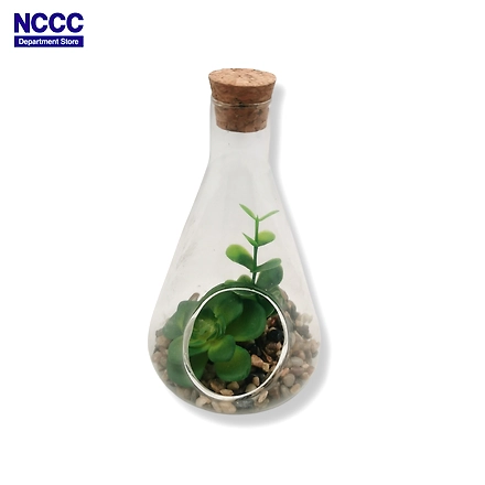 Koopman Plant in Glass 9x14cm 356334 HS-11652778