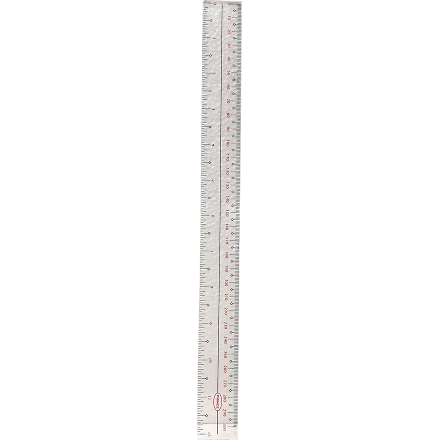 Amspec Ruler 30Cm-1