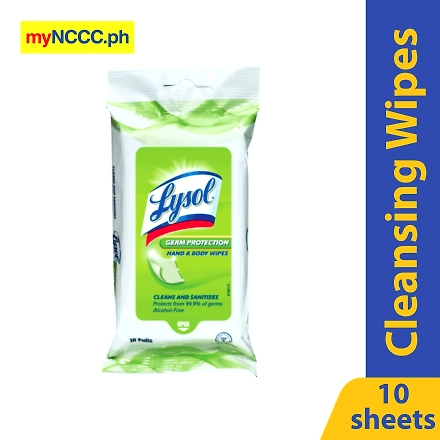 Lysol Hand &amp; Body Wipes 10s-11018852