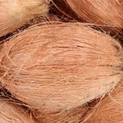 Coconut-11767450