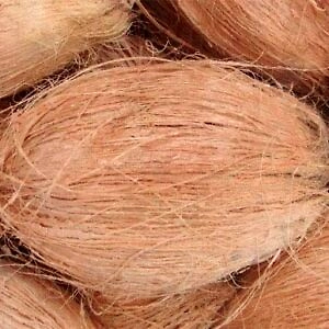 Coconut
