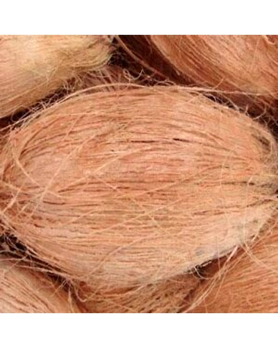 Coconut-11767450