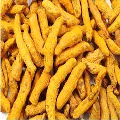 TURMERIC FINGER-11387798