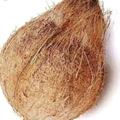 Semi Husk Coconut-12495816