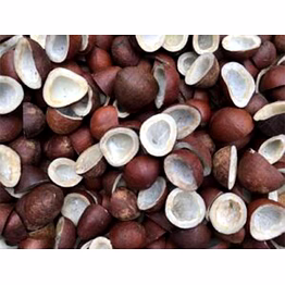 coconut copra