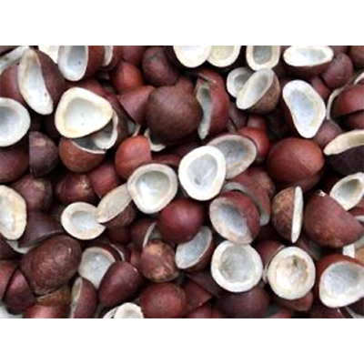 Coconut Copra-12495908