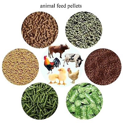 Animal Feed