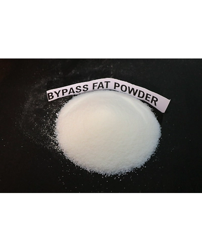 Bypas fat 99-12495926