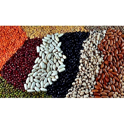 Pulses-12495940