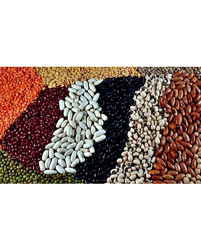 Pulses-12495940