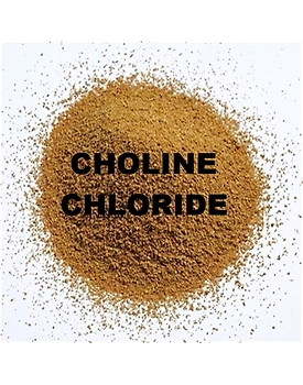 Choline