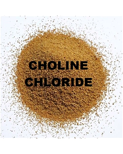 Choline-12710459